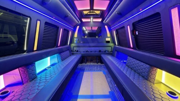 15 passenger party bus rental