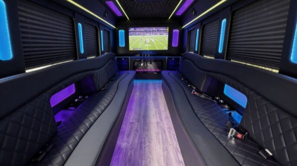 18 passenger party bus rental
