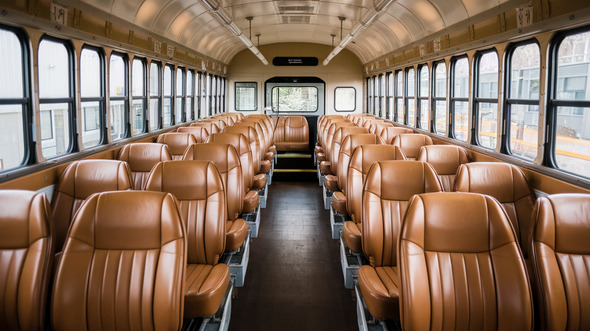 20 passenger mini school bus interior