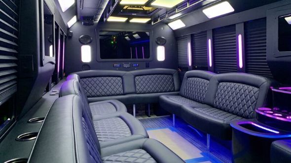 20 passenger party bus rental