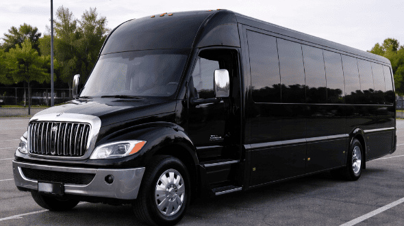 20 passenger party bus