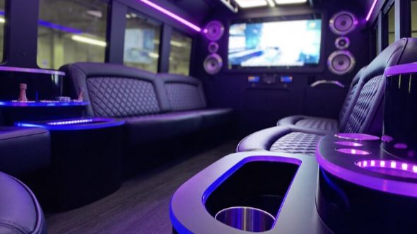 25 passenger party bus rental