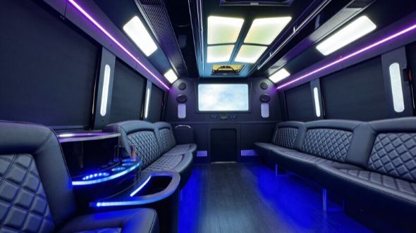 30 passenger party bus rental