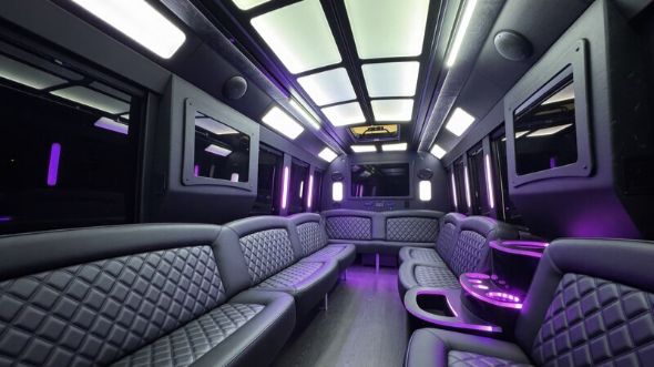 50 passenger party bus rental