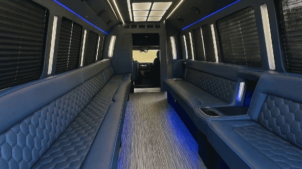 allentown 28 passenger party bus rental