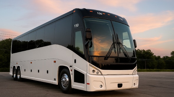 new york bachelor and bachelorette party bus rentals